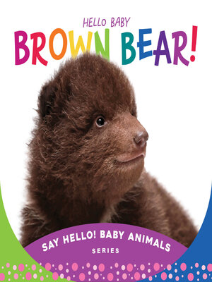 cover image of Hello Baby Brown Bear!